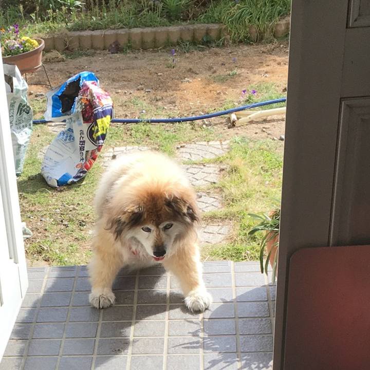 648fa873 58c2 455f 8105 f86b74be23f6 1585612010290