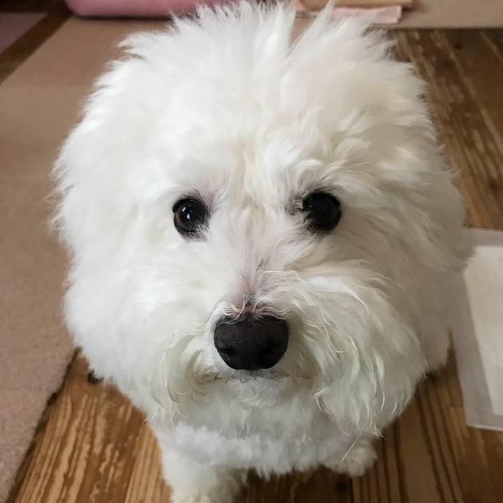 648fb7f7 469d 41b3 9dd4 cc1c136c9052 1534457662295