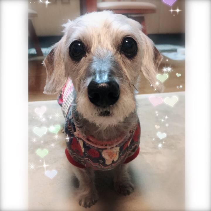 648fb95c b2a1 4a85 a846 636019a7f92e 1513590018809