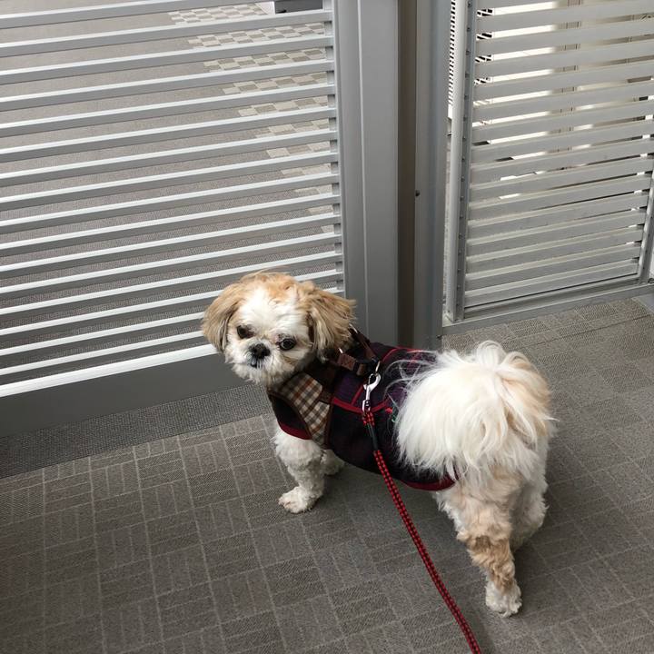 648fe6a9 2b3d 40e0 8f77 d8ed264b68c9 1524779423277