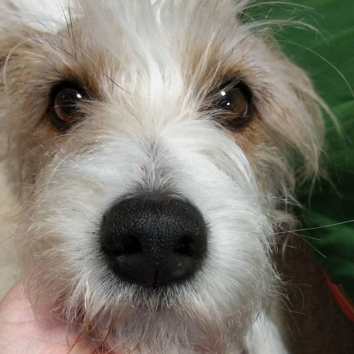 6490144e ef84 4d64 9405 6868f5e7b5dd 1523455690604