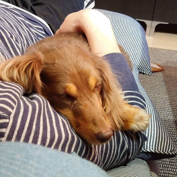 64901535 7473 4250 ad18 dbc24090d3df 1617633110147