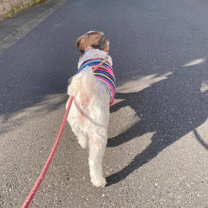 64905aff 9a88 4779 b3b8 f6f136f40d86 1588912592581