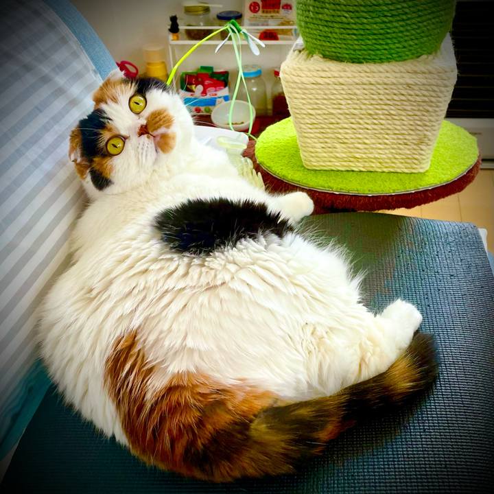 64908129 5c06 4eeb ba22 2ed0dff7585e 1653033292867