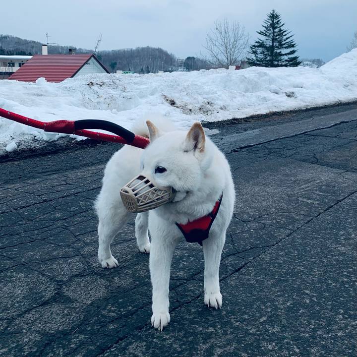 6490d2be 5a86 40eb 99df afb57a2b671a 1678659200931