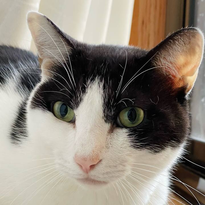 6490f3d2 9a7b 46a1 bf49 9346f5d9a432 1636164123403