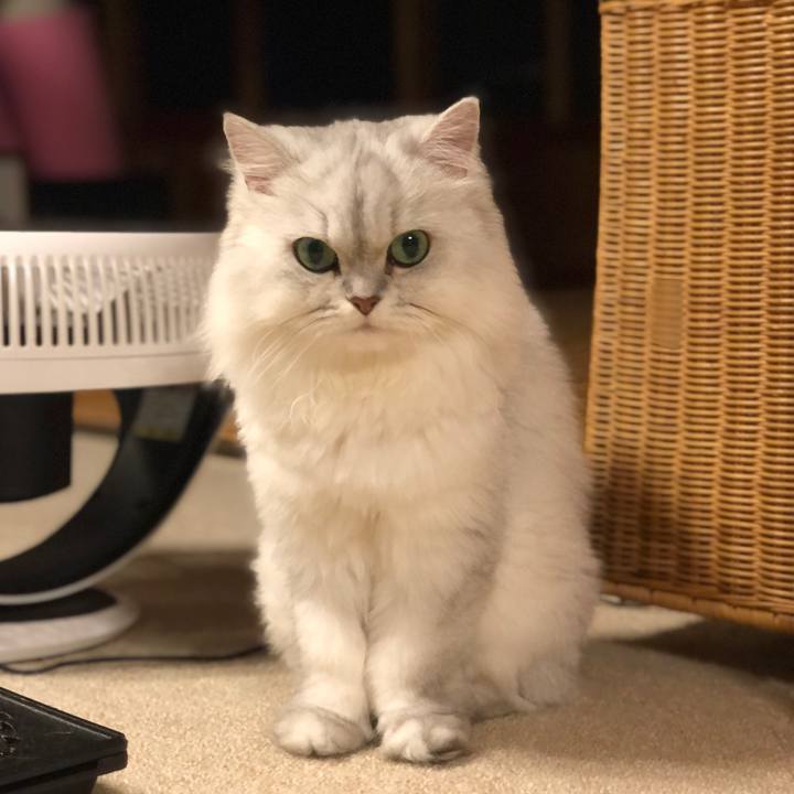 64914f42 b80b 44db 933e 7c5f055bbf70 1594635606513