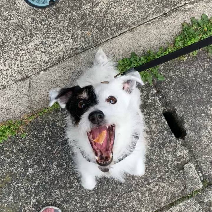 64918af4 ac79 4c03 9c1d 97bf9c280f64 1717289052919