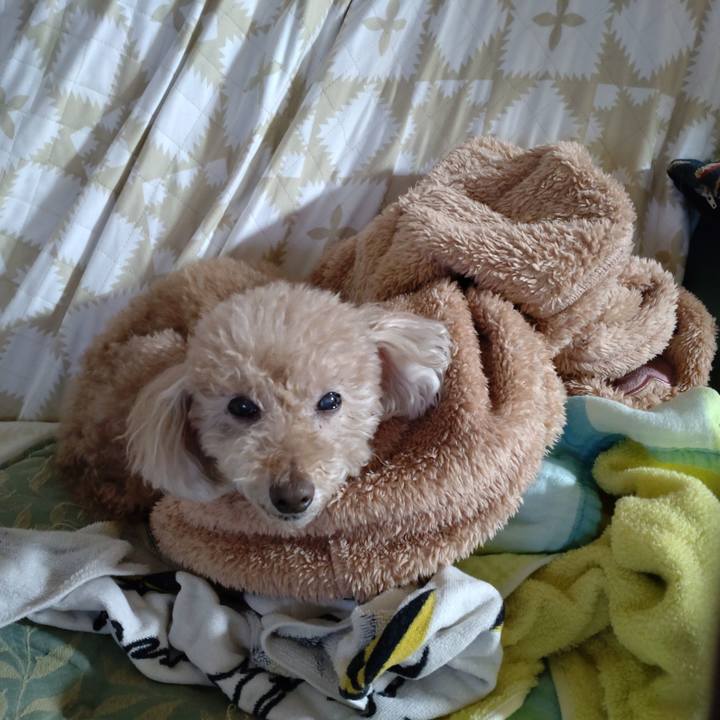 6491e29a ec47 436c 9229 69acd51f5e44 1640948585512