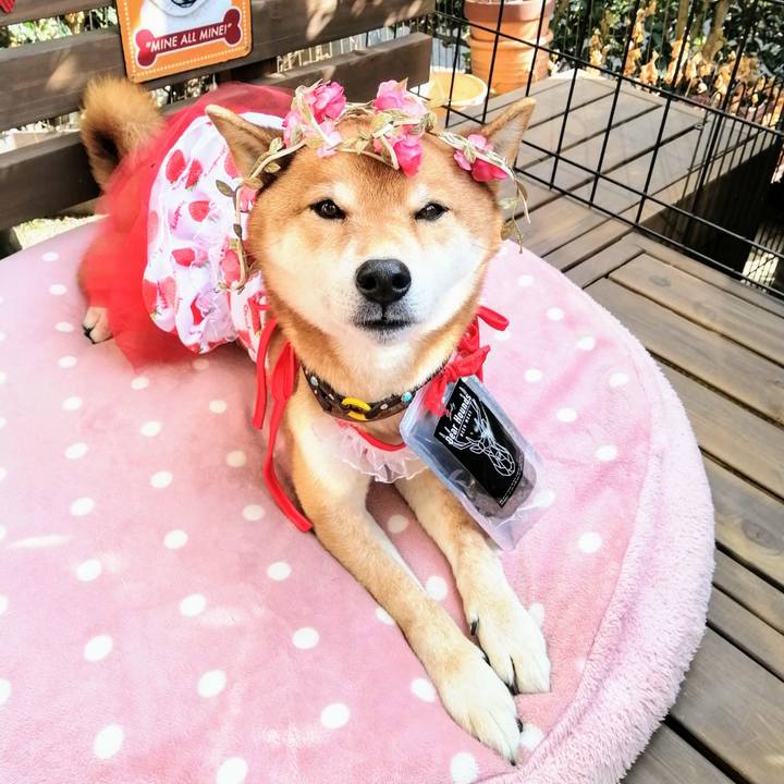 6491ffaf 5822 4af3 bf78 95e267eb8648 1613289355401