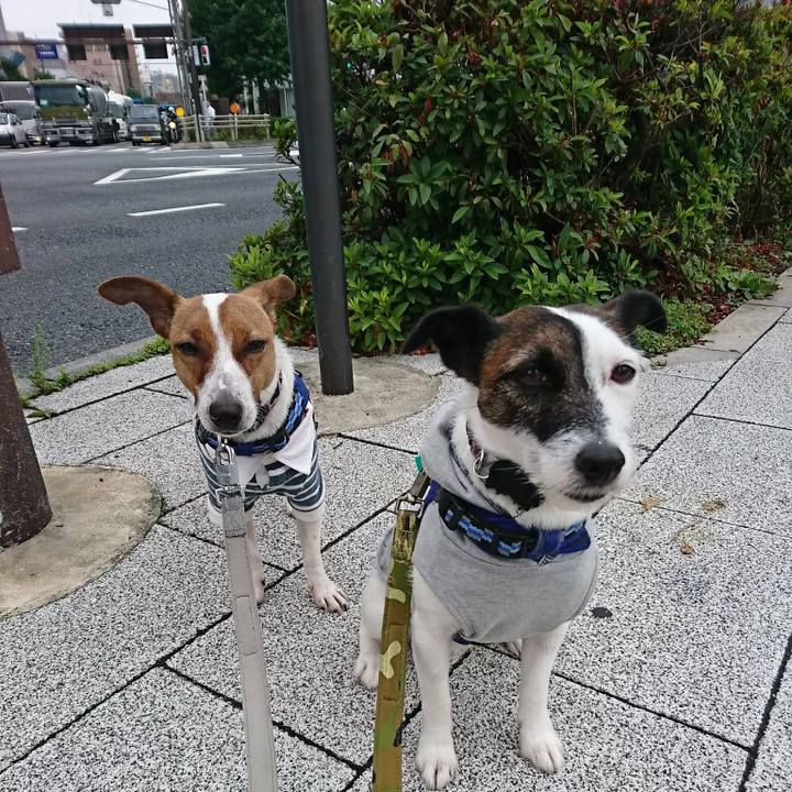 64922038 f41a 48d3 9eff 4bb9df375f23 1528841934245