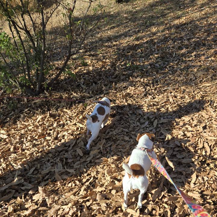 64922d44 f974 4142 b78e 27868465d5b1 1765120581138