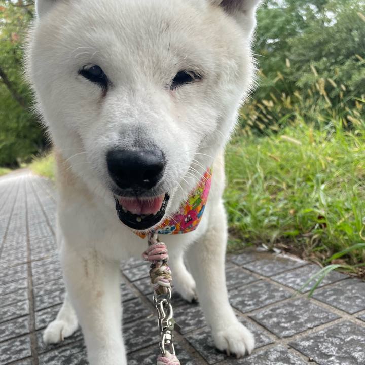 64923662 c9e8 428a a0d3 69b536524a35 1760798243496