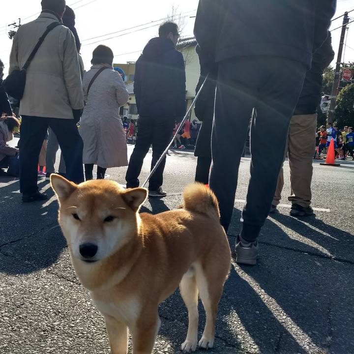 64929137 e9b0 445b b54b d096a1df5d31 1518935354204