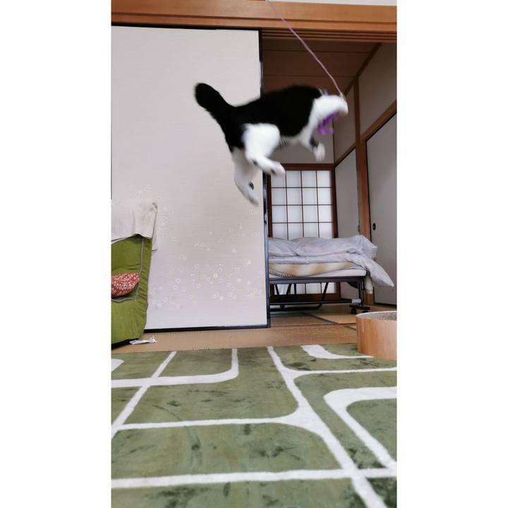 6492cb62 34ae 4971 a1f1 fb0a3206fe62 1620089726554