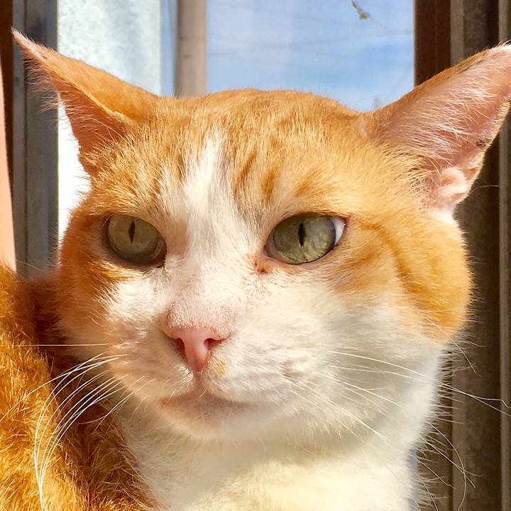 64930cc2 b7ec 4c84 b6c2 67c662c0164f 1565420018919