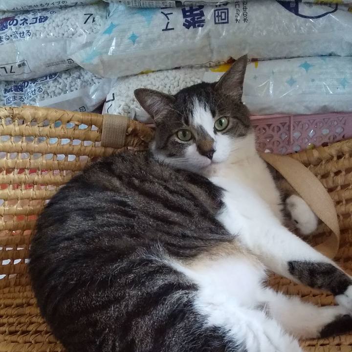 6493283c 368f 4c56 a6b0 b64c60843927 1655949923153