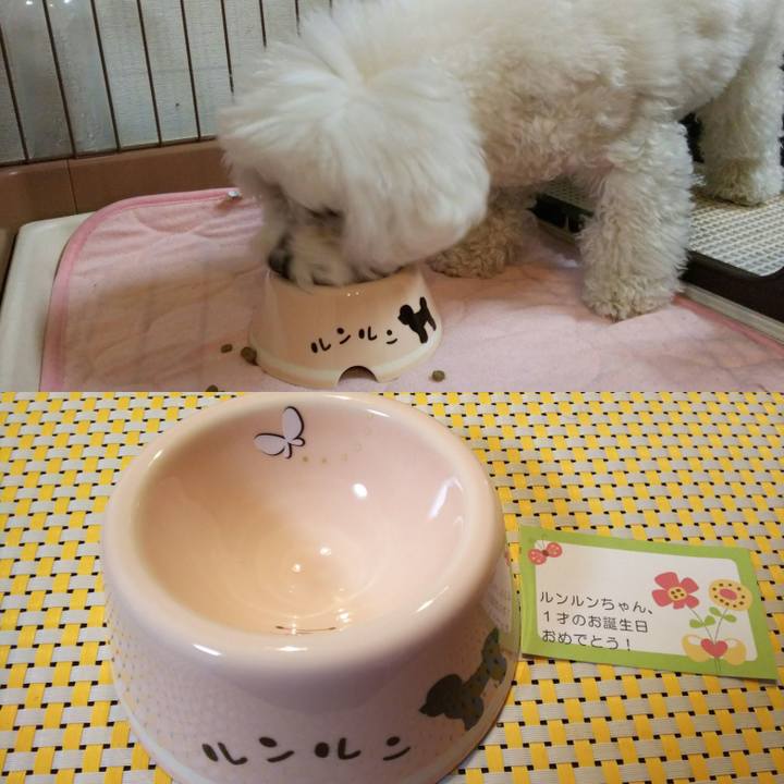 649352de effd 46fd ad87 416197ab9562 1517802640339