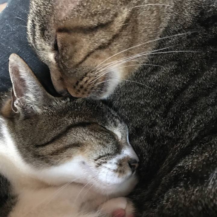 64937219 faad 4f50 9415 164b3db99aef 1509328591517