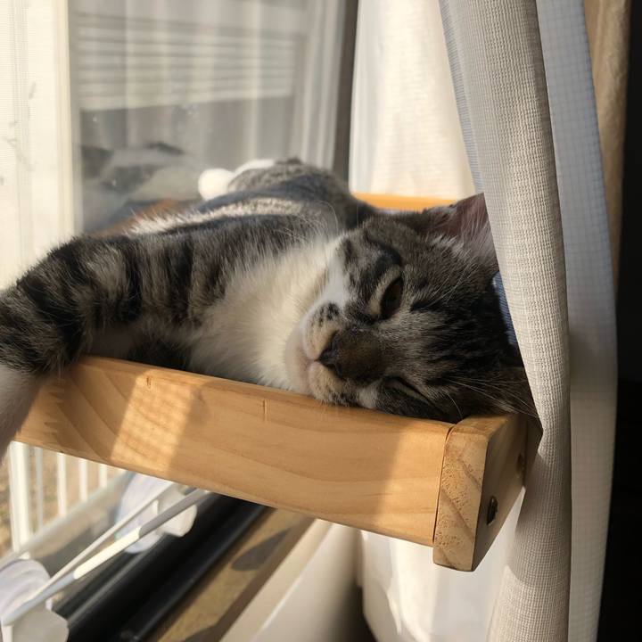 64937760 5692 4d5c 96b1 37076a8bbdf2 1637987119258