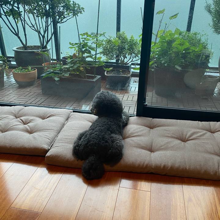 64938877 1610 4f39 9491 209e4332a903 1633047200513