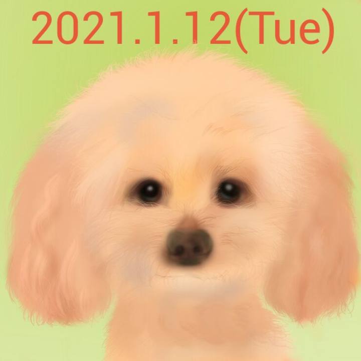 649389a1 8021 4f6b 8562 7f472276d6de 1610453324084