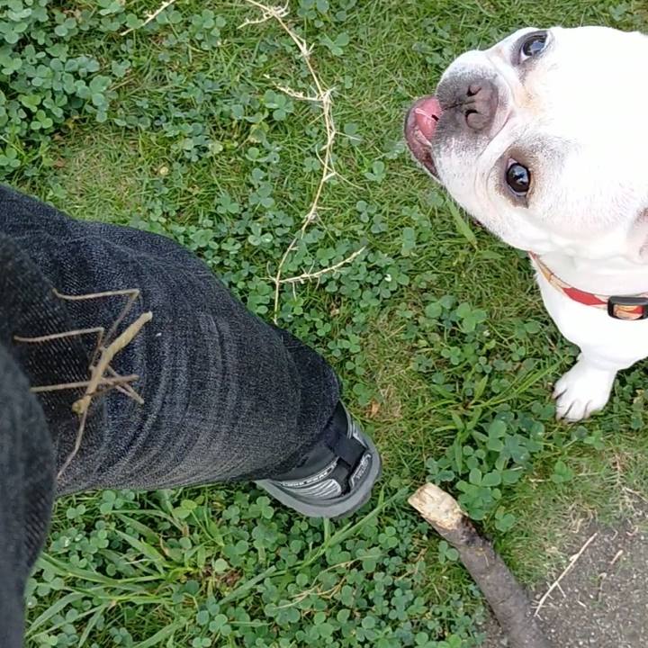 6493983d 6ee6 45f0 8799 bf0dc8acc0e7 1662987689533