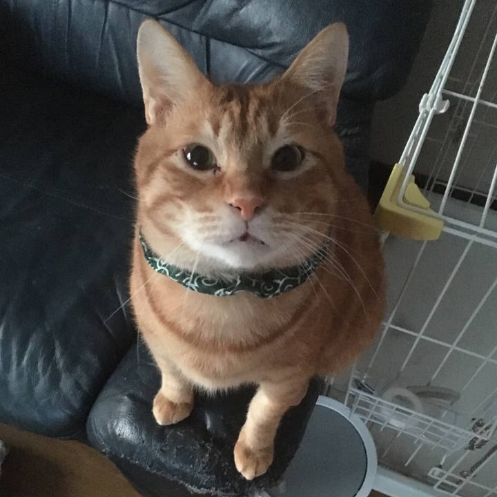 6493a719 2abd 4773 a5a1 819daeba0481 1550785127095