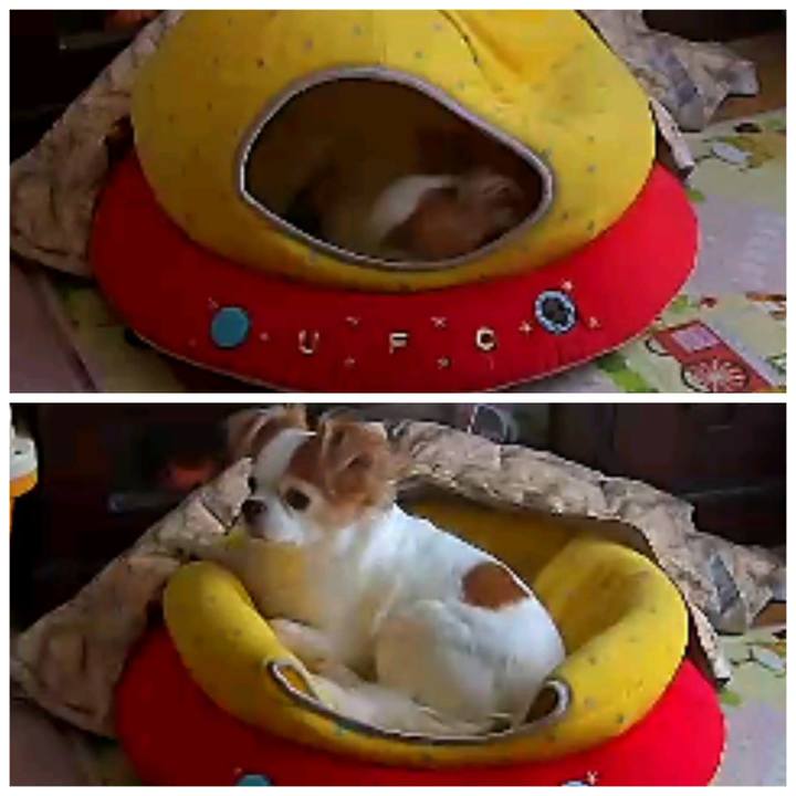 6493c129 17f5 41f7 9c51 bd4f027b21f4 1593420983453