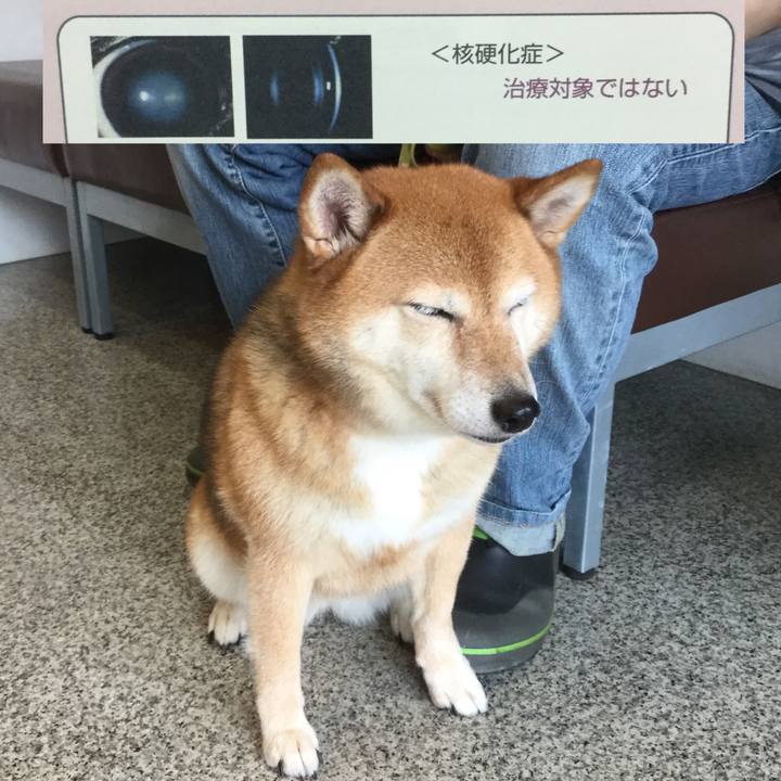 6493ce22 224c 4ca6 bb23 43e15b4cc5f9 1594008276692