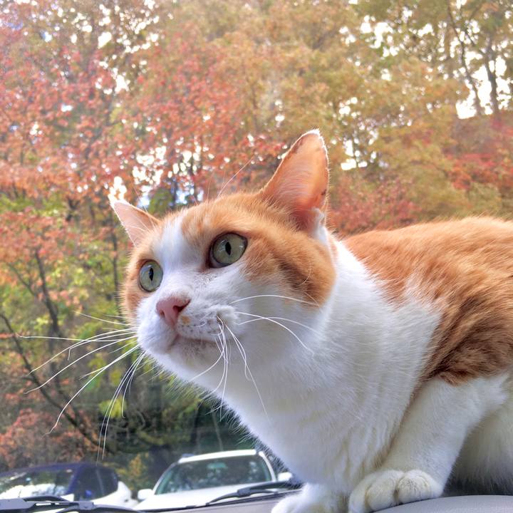 6493dce0 f42f 4895 b85f 4b661989422a 1574320593169