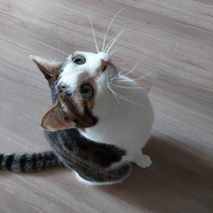 6493e310 ee65 4862 877d 4a09967a20d6 1723590292576