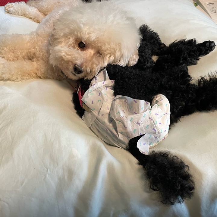 6493f968 d297 4428 89c2 ca830a468651 1757969487215