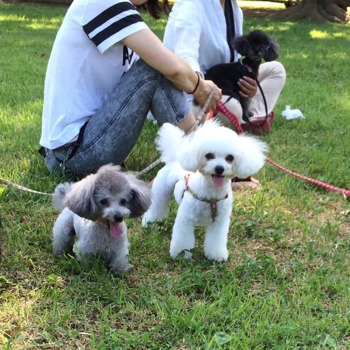 649427f5 c504 4c7a ab0d 1e62a06205cc 1530441214775