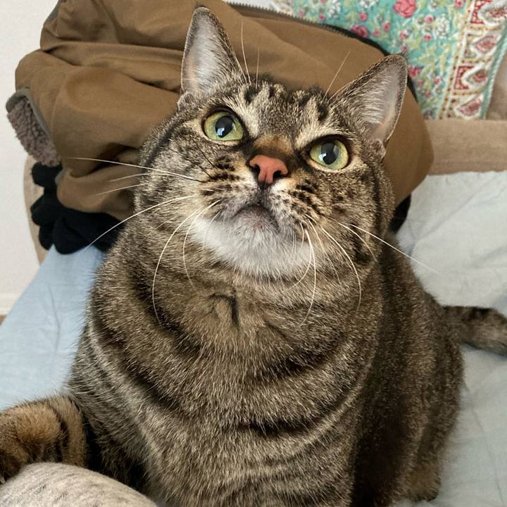 64943e04 1de7 402a a298 2b6fcf8dd12e 1647048952081