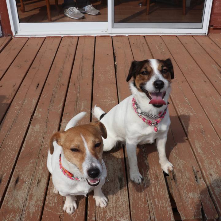 6494607c 23a9 4722 89e6 533678c49a4f 1519539864594