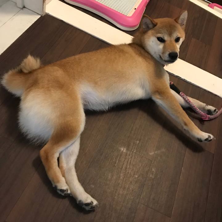 649478ea 5306 4801 a021 078d1ed5d2f2 1532356286562