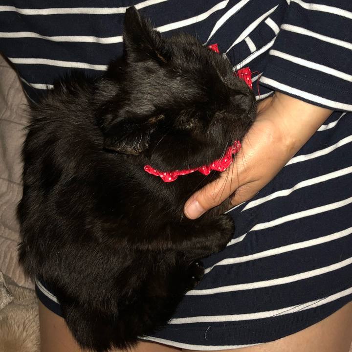 6494a0fa 9f4a 457f bc1d beafed669fb9 1556737152989