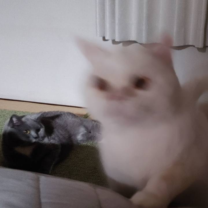 6494a85b 343a 461f a44f b1247453ad2b 1653571335895