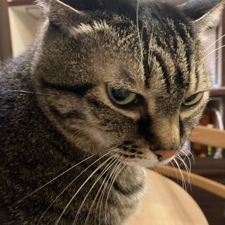 6494adca dcbe 4c11 864d 0eef3d1a5402 1762565440992