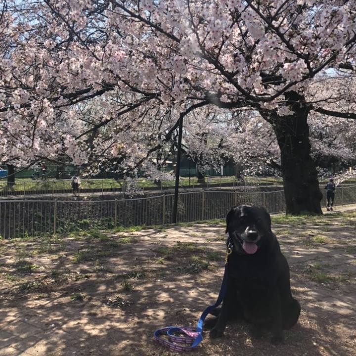 6494dec9 6066 4cf0 9184 d1ba5f4fd110 1585188426085