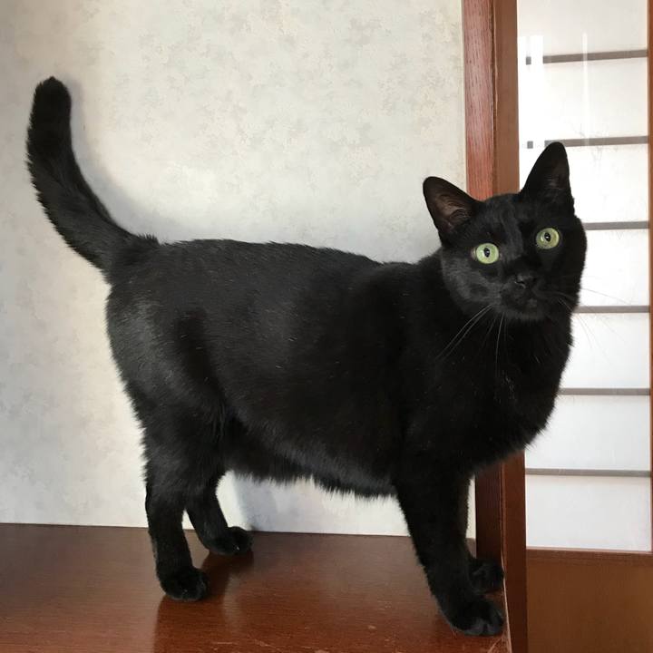 6494ff29 341b 47ce 94a8 905cbdeceddf 1521415158369