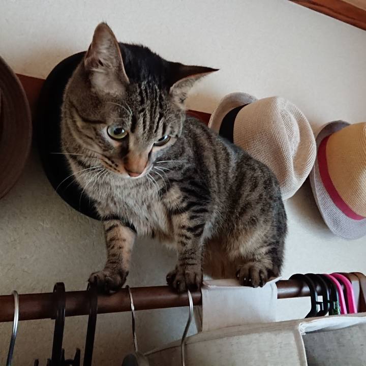 64951c08 f6ab 43cb 952d bb627bb60e5b 1514676310357