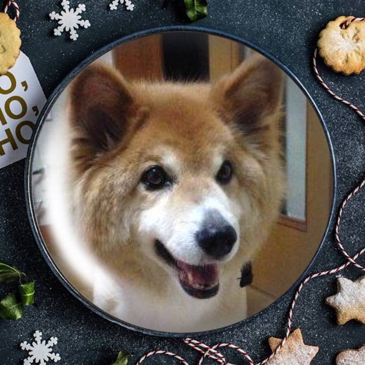 6495312d 4d8b 4cf3 b8fe 589be2a492c8 1577255002081