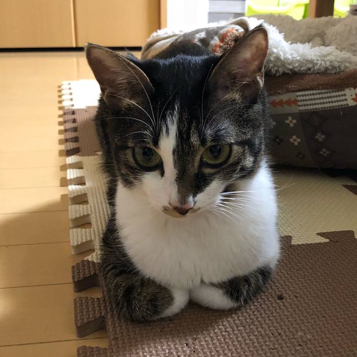 64953b6d 53bf 4bfe bcac 704a00716c98 1515083423791