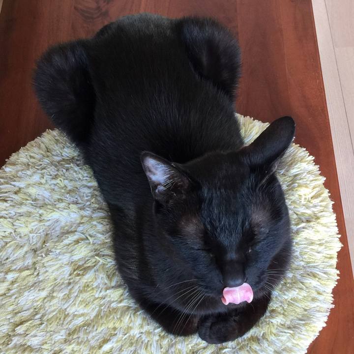 6495625f aaf4 4637 baec 94ffff712a0b 1525423853569