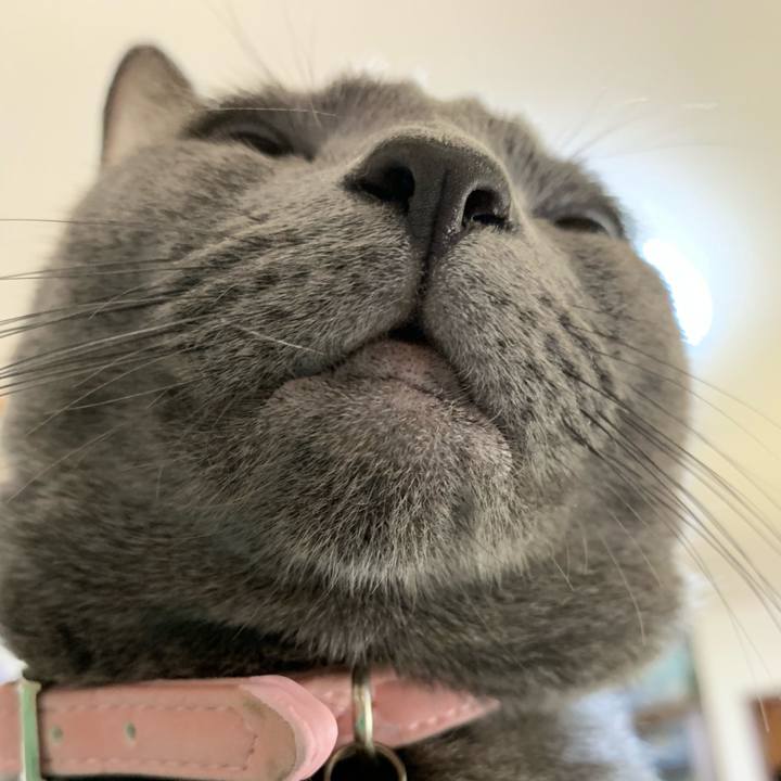 6495796c 1f69 4999 9ab2 5a1e74527817 1572669880613