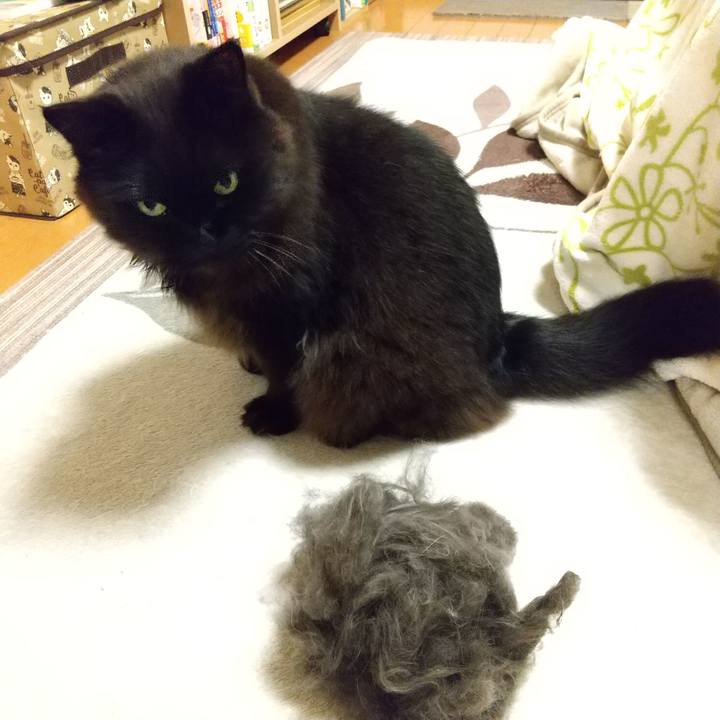 649589d4 0d87 4899 9bdf 801aacf0f391 1617007869481