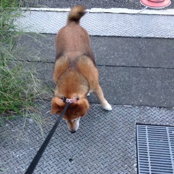 6495a04d 543b 4fa9 8021 ee78087b47d1 1538643486005