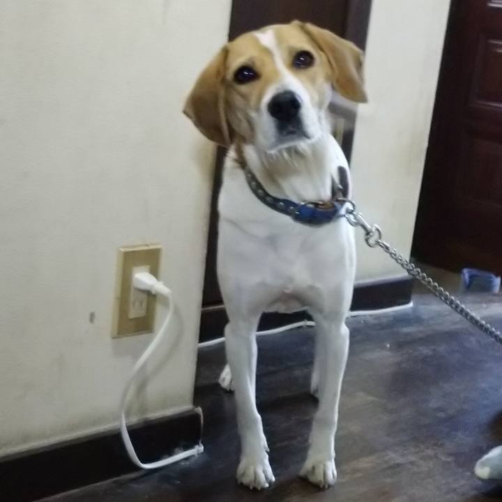 6495a1c1 c301 4d66 8016 275df63eaef3 1608015202841